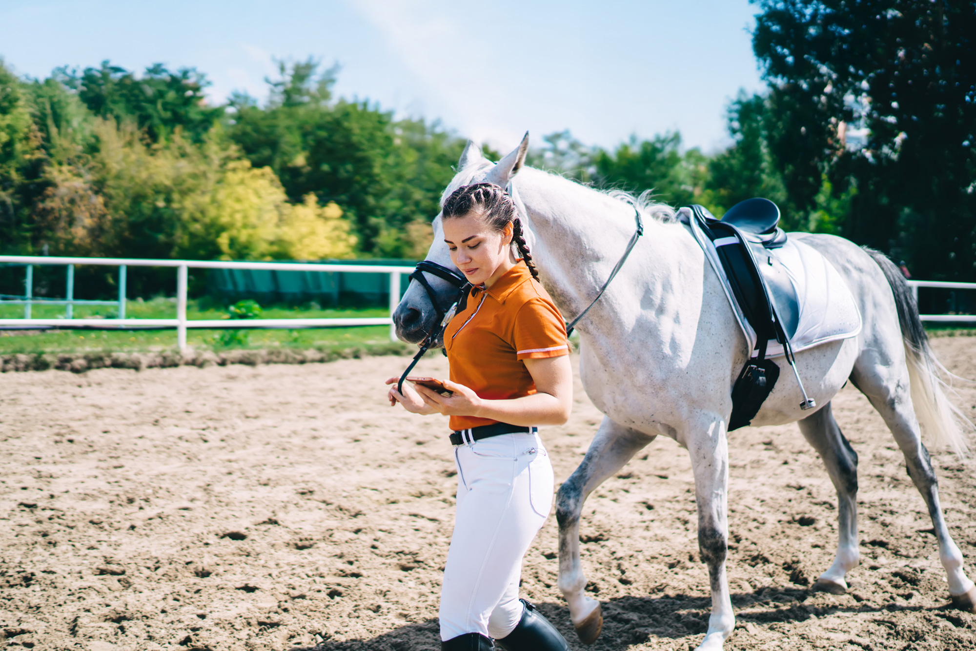 Nieuw: Mobielvriendelijke dressuurproeven staan online!